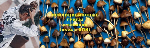 тгк Белоозёрский