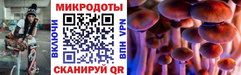 Псилоцибиновые грибы GOLDEN TEACHER  Ворсма 